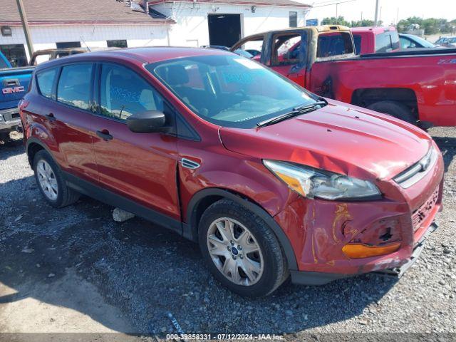  Salvage Ford Escape