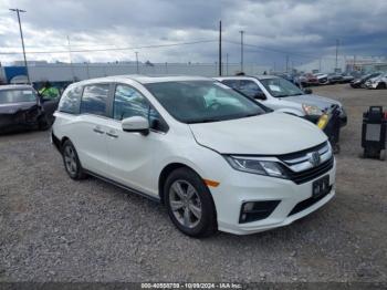  Salvage Honda Odyssey