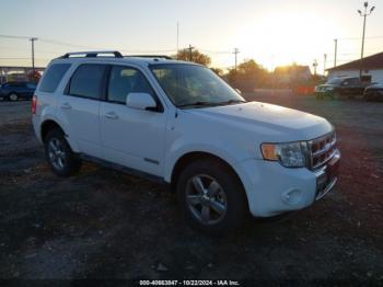  Salvage Ford Escape