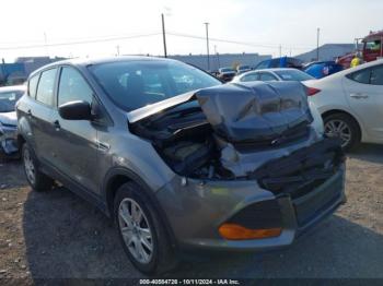  Salvage Ford Escape