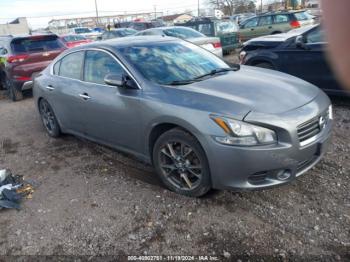  Salvage Nissan Maxima