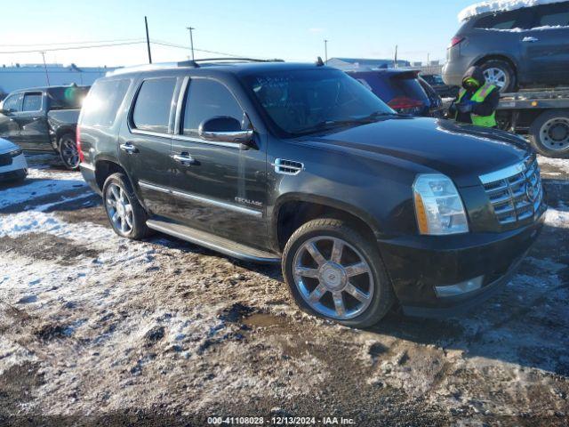  Salvage Cadillac Escalade