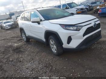  Salvage Toyota RAV4