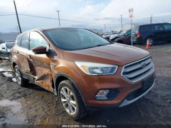  Salvage Ford Escape