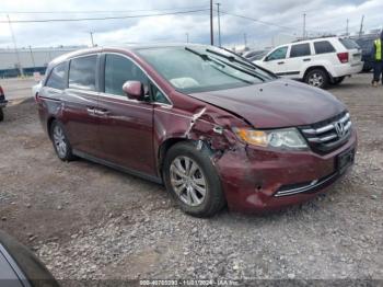  Salvage Honda Odyssey