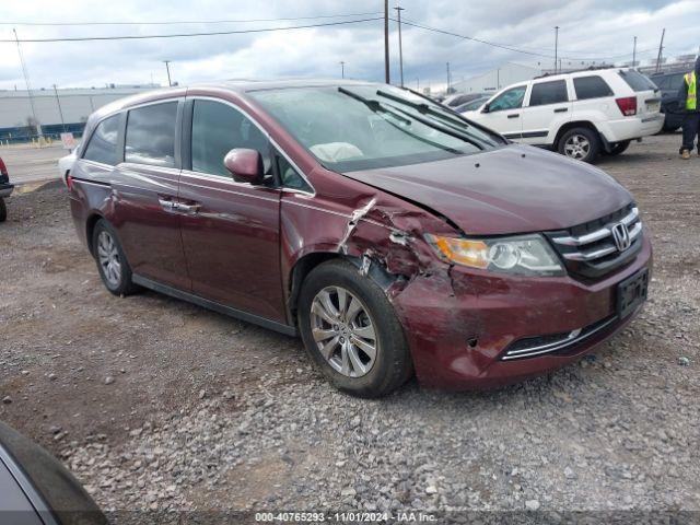  Salvage Honda Odyssey