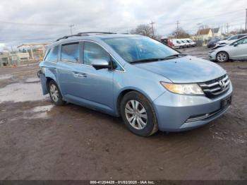  Salvage Honda Odyssey