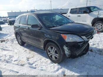  Salvage Honda CR-V