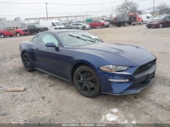  Salvage Ford Mustang