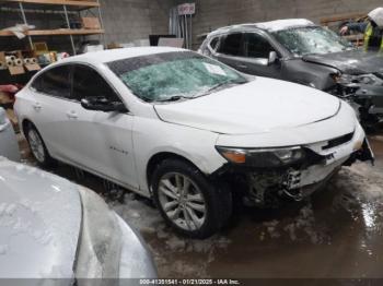  Salvage Chevrolet Malibu