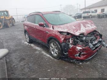  Salvage Ford Escape