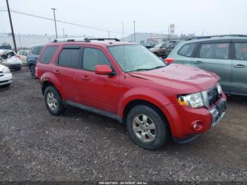  Salvage Ford Escape