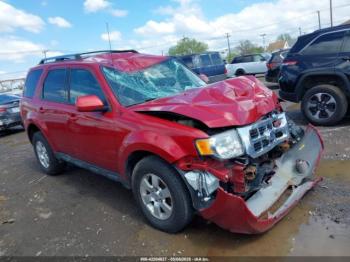  Salvage Ford Escape