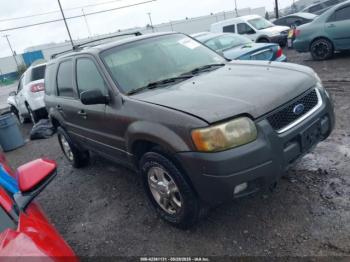  Salvage Ford Escape