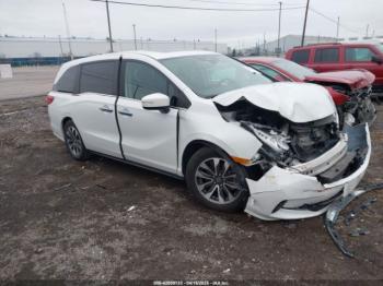  Salvage Honda Odyssey