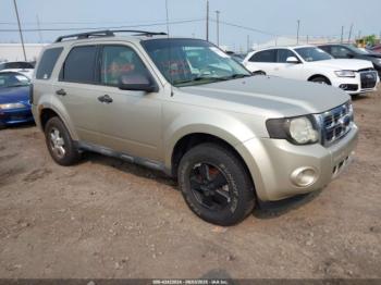  Salvage Ford Escape