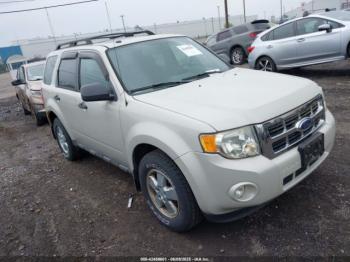  Salvage Ford Escape
