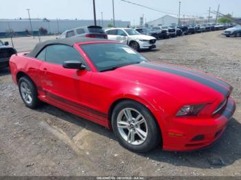  Salvage Ford Mustang