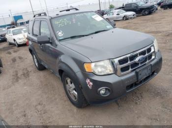  Salvage Ford Escape