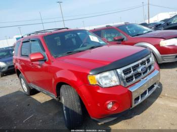  Salvage Ford Escape