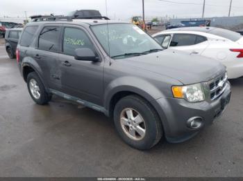 Salvage Ford Escape