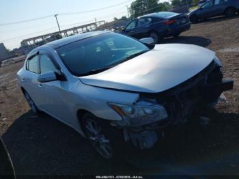  Salvage Nissan Maxima