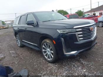  Salvage Cadillac Escalade