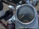 Harley-Davidson Flhrci Image 14