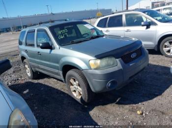  Salvage Ford Escape