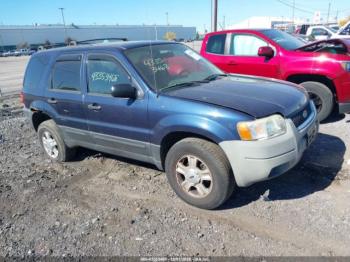  Salvage Ford Escape