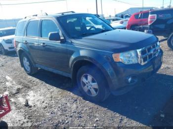  Salvage Ford Escape