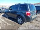 Ford Escape Xlt Image 3