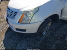 Cadillac SRX Luxury Collection Image 7