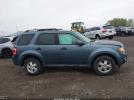 Ford Escape Xlt Image 2