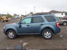 Ford Escape Xlt Image 15