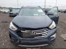 Hyundai SANTA FE Limited Image 15