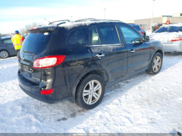 Hyundai SANTA FE Limited V6 Image 3