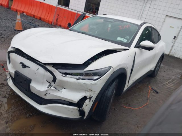 Ford Mustang Select Image 5