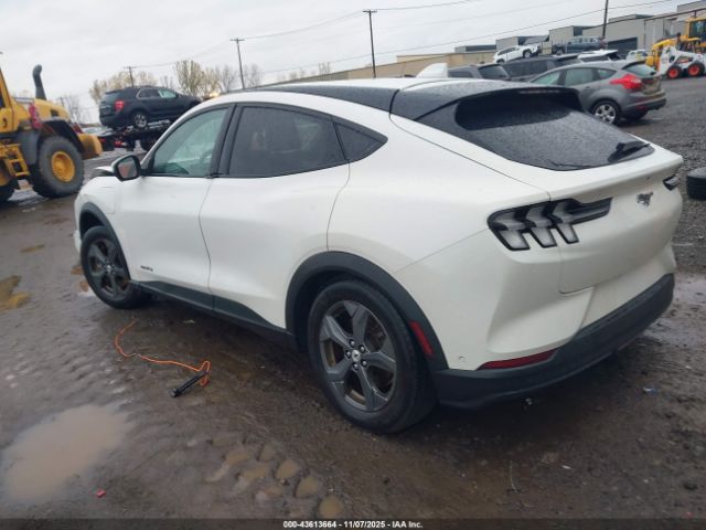 Ford Mustang Select Image 4