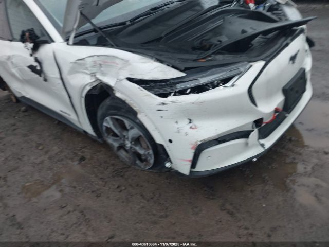 Ford Mustang Select Image 10