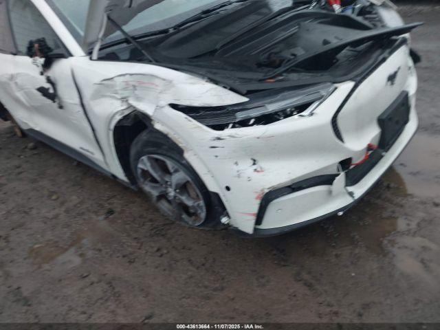 Ford Mustang Select Image 10