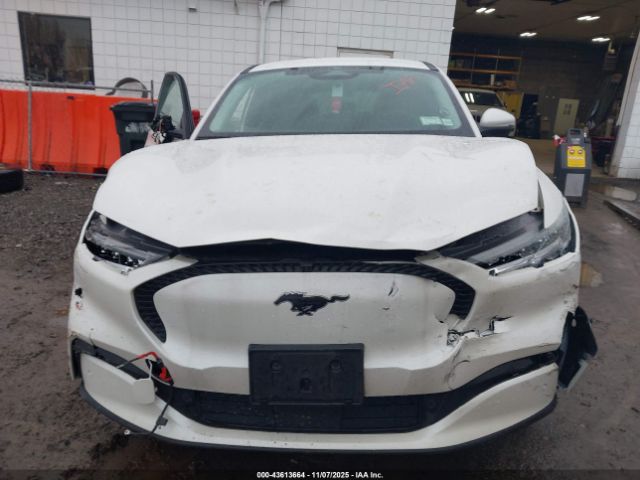 Ford Mustang Select Image 12