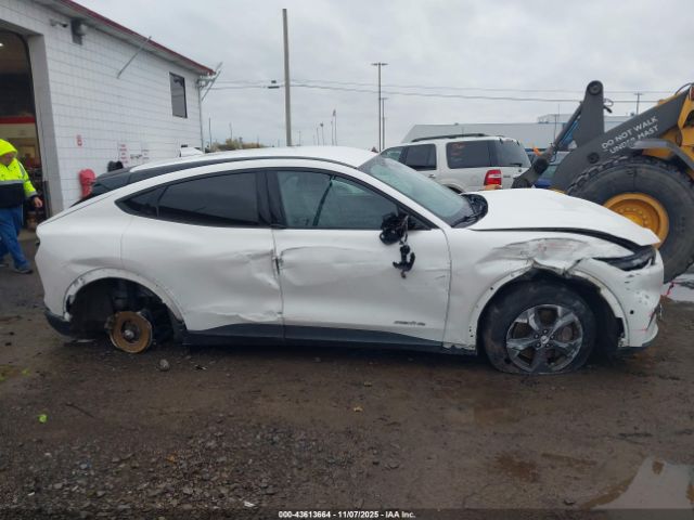 Ford Mustang Select Image 13