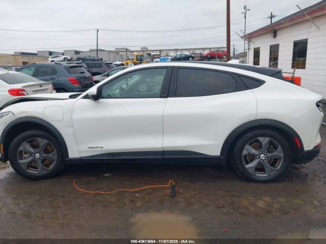 Ford Mustang Select Image 6