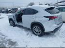 Lexus NX Image 3