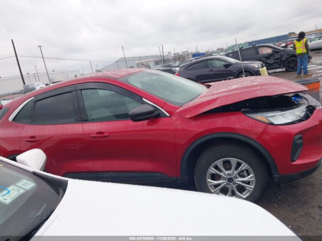 Ford Escape Active Image 8