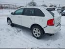 Ford Edge Sel Image 3
