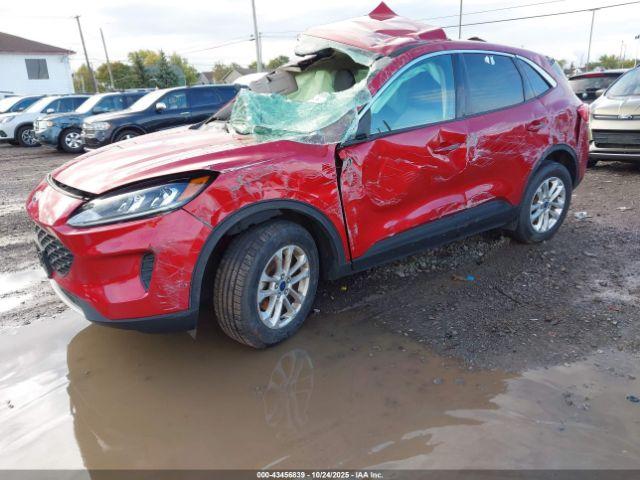 Ford Escape Se Image 8