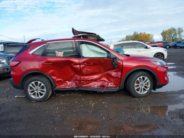 Ford Escape Se Image 3