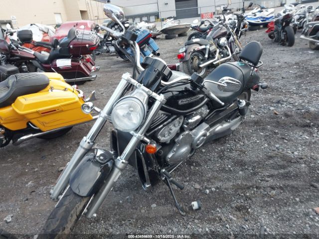 Harley-Davidson Vrscb Image 3
